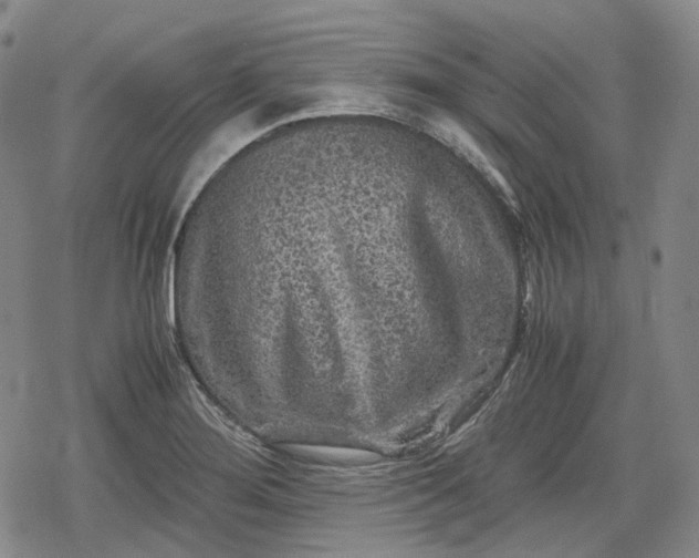 X0000080161276200612221217