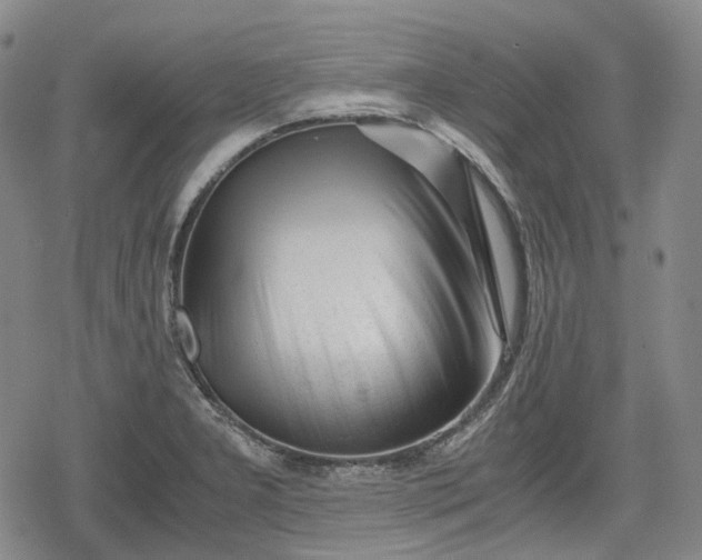 X0000080161277200612221217