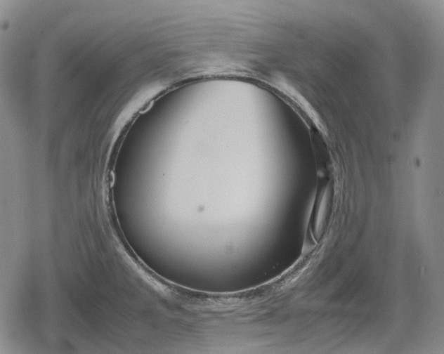 X0000080161285200612221217