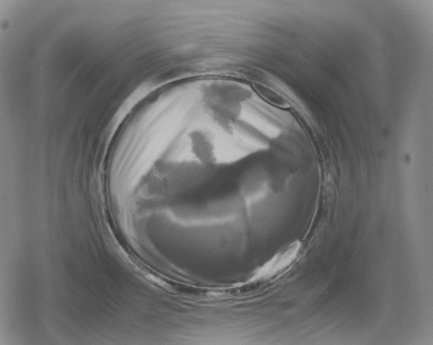 X0000080161291200612221216