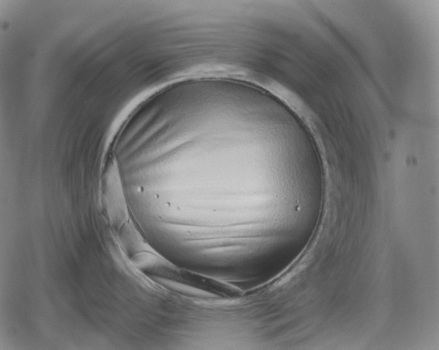 X0000080161296200612221216