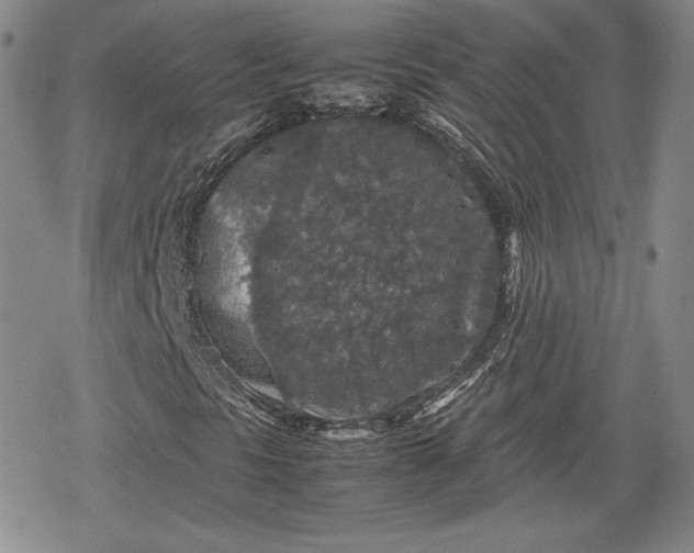 X0000080161297200612221216