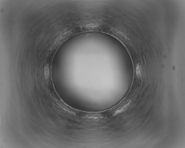 X0000080161299200612221216