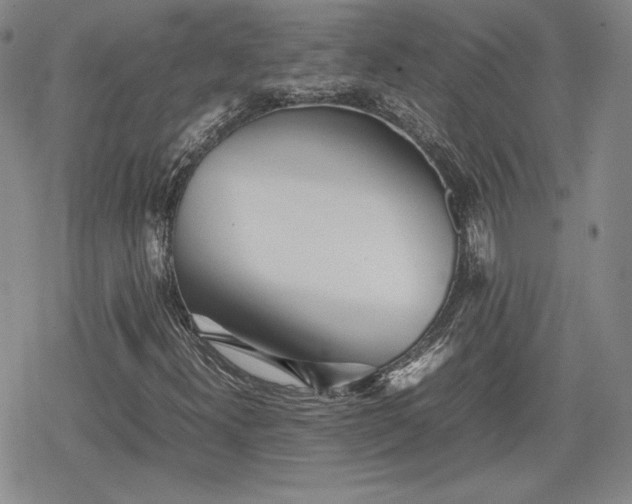 X0000080161300200612221216