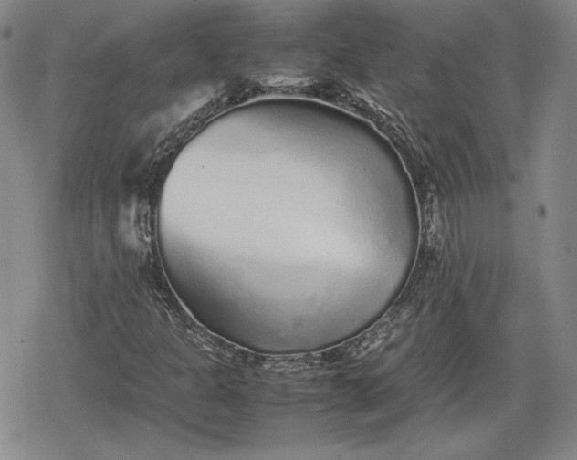X0000080161301200612221216