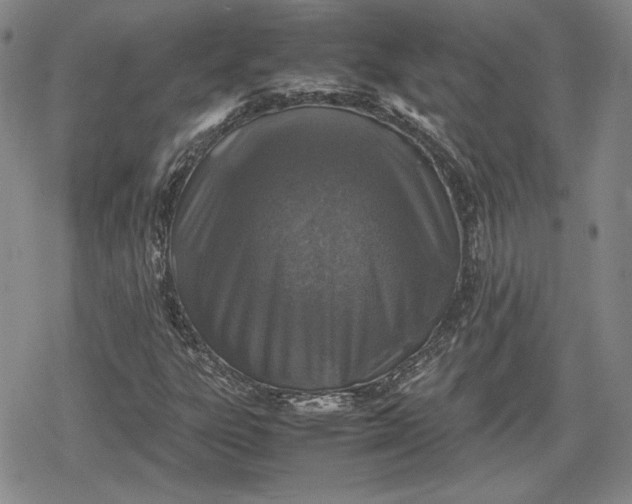 X0000080161303200612221216