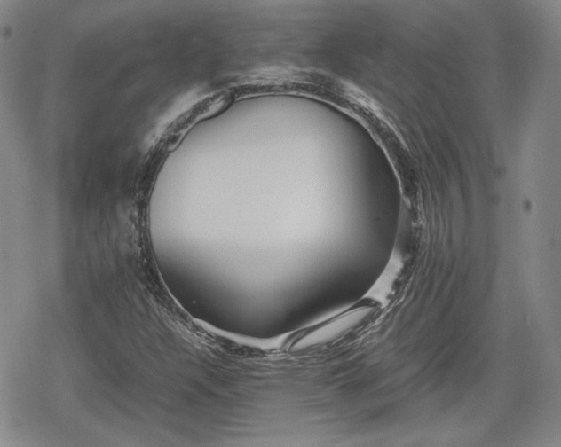 X0000080161304200612221216