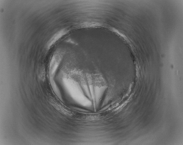 X0000080161306200612221216