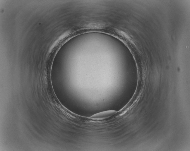 X0000080161307200612221216
