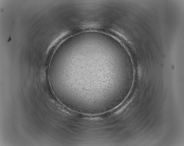 X0000080161309200612221216