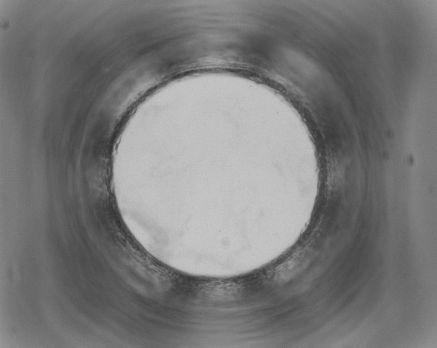 X0000080161314200612221216