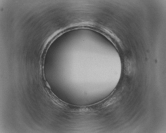 X0000080161316200612221216