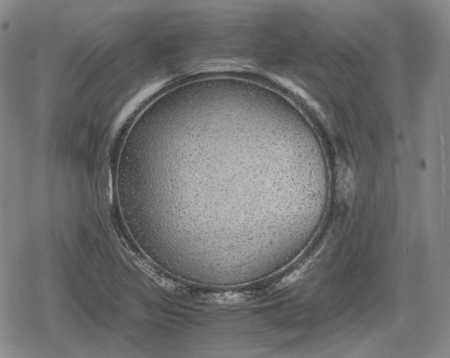 X0000080161317200612221216