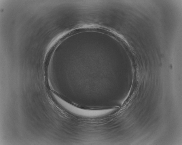 X0000080161319200612221216
