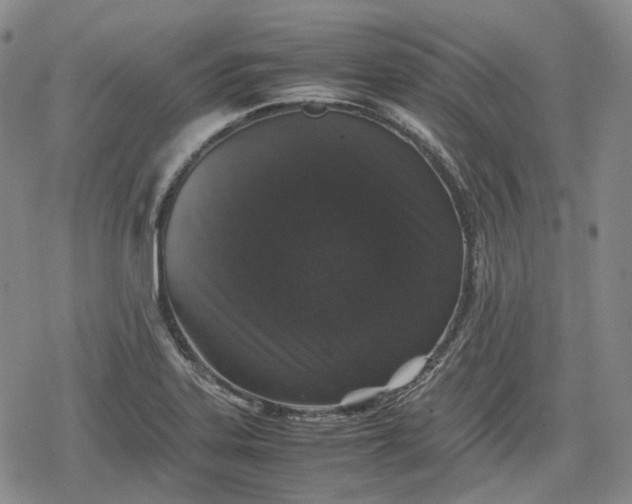 X0000080161323200612221216