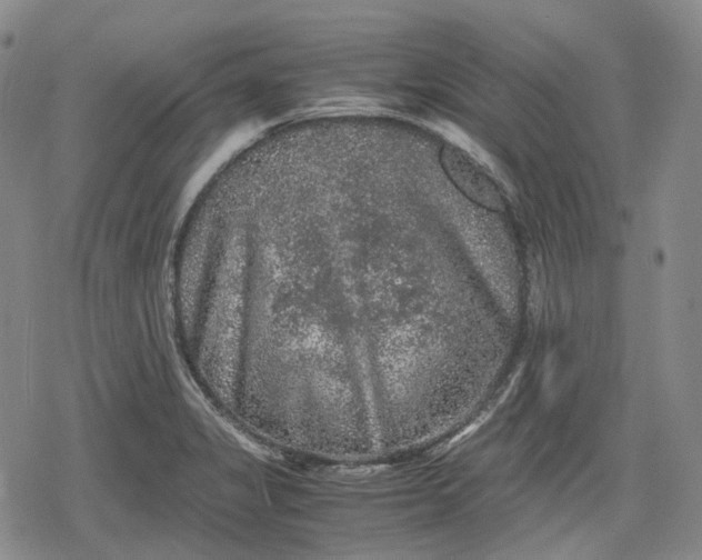 X0000080161325200612221216