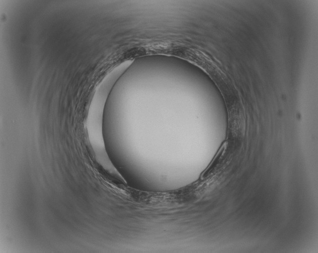 X0000080161345200612221216