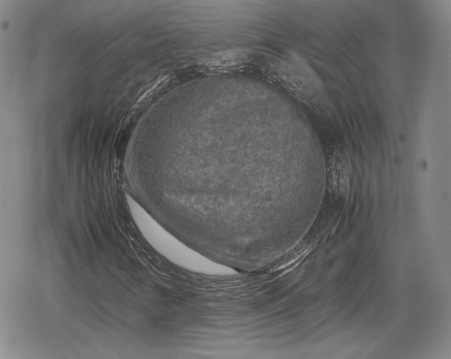 X0000080161346200612221216