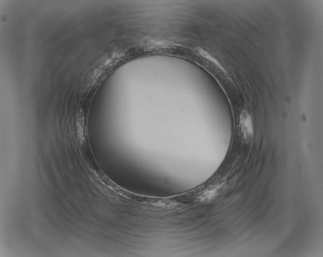 X0000080161348200612221216