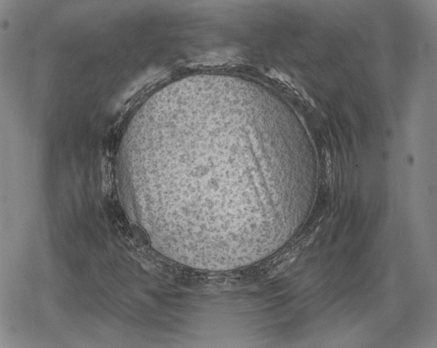 X0000080161350200612221216