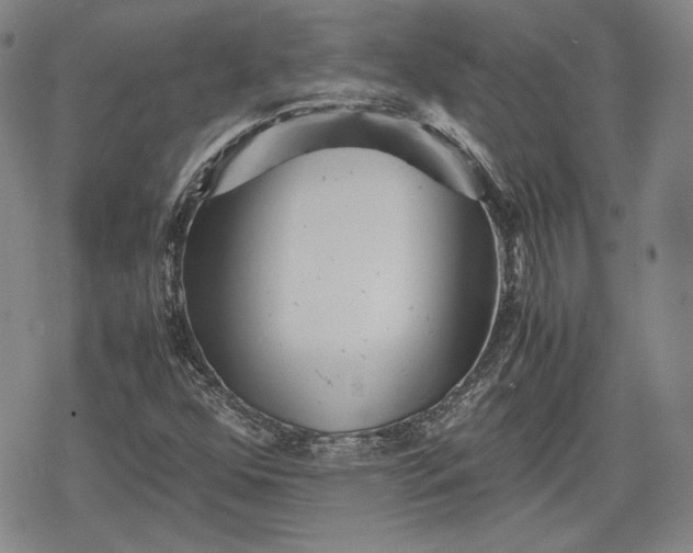 X0000080161352200612221215