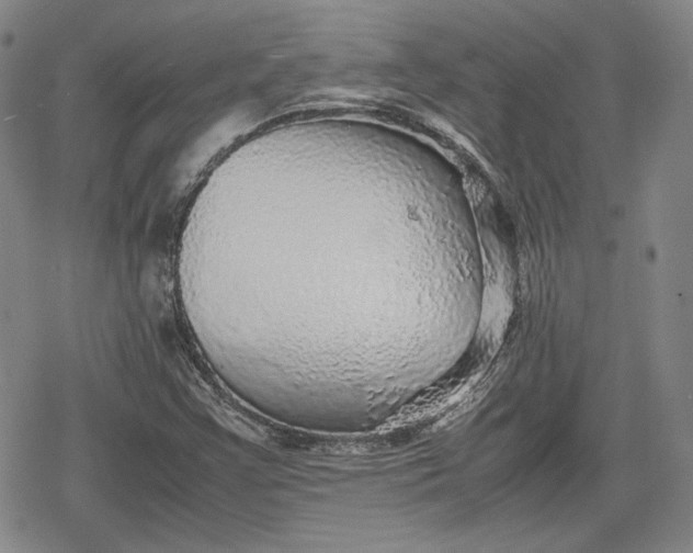X0000080161355200612221215