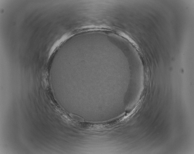 X0000080161357200612221215