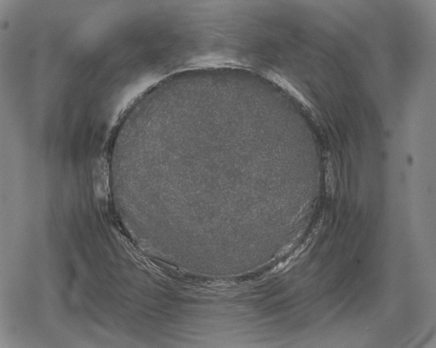 X0000080161358200612221215