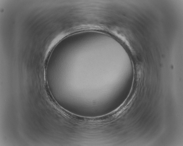 X0000080161365200612221215