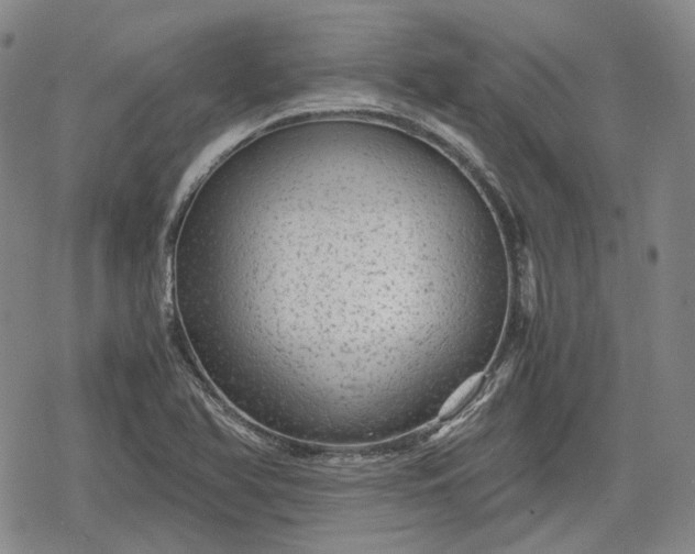 X0000080161366200612221215
