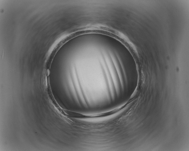 X0000080161368200612221215
