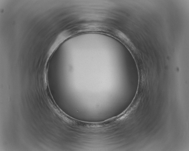 X0000080161370200612221215
