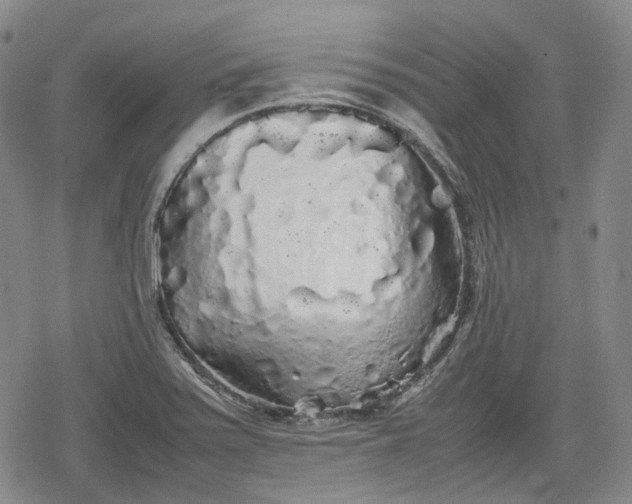 X0000080161371200612221215