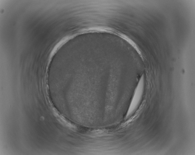 X0000080161373200612221215