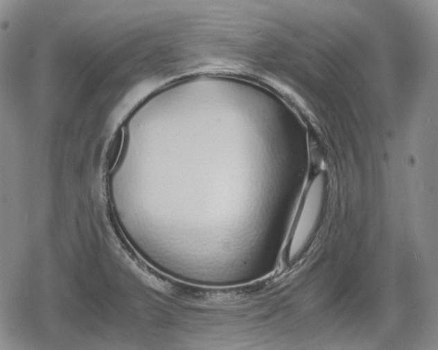 X0000080161375200612221215