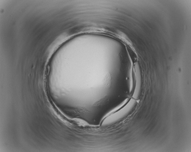 X0000080161379200612221215