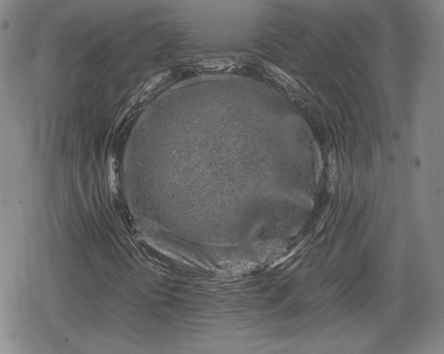 X0000080161394200612221214
