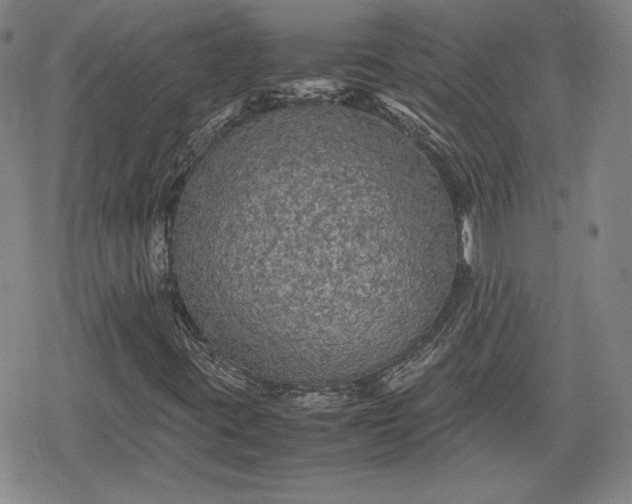 X0000080161395200612221214