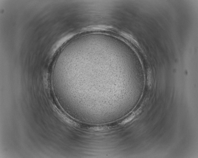 X0000080161404200612221214