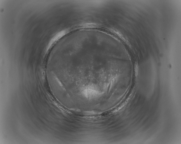 X0000080161405200612221214