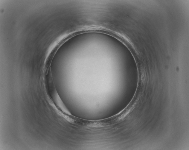 X0000080161414200612221214