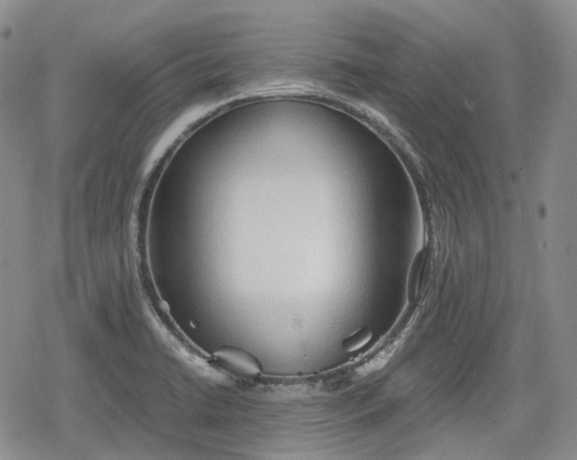 X0000080161422200612221215