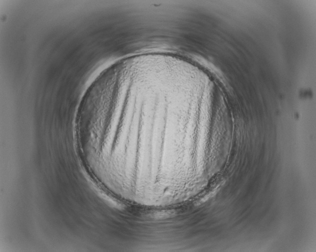 X0000080161423200612221215