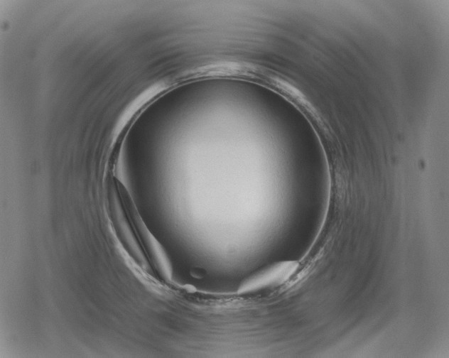 X0000080161426200612221215