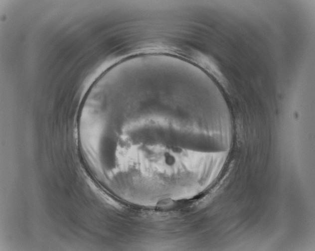 X0000080161428200612221215