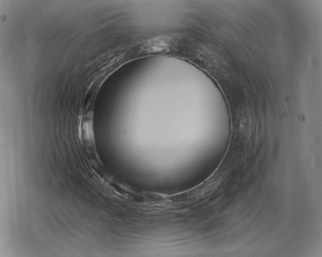 X0000080161442200612221214