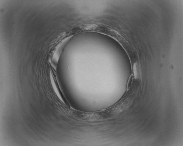 X0000080161443200612221214