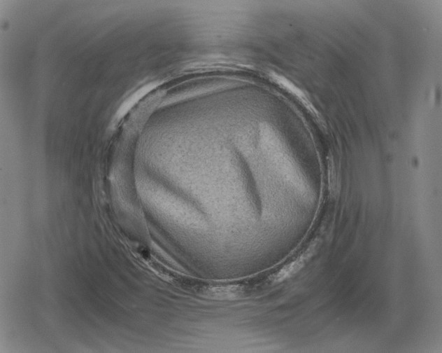 X0000080161453200612221214