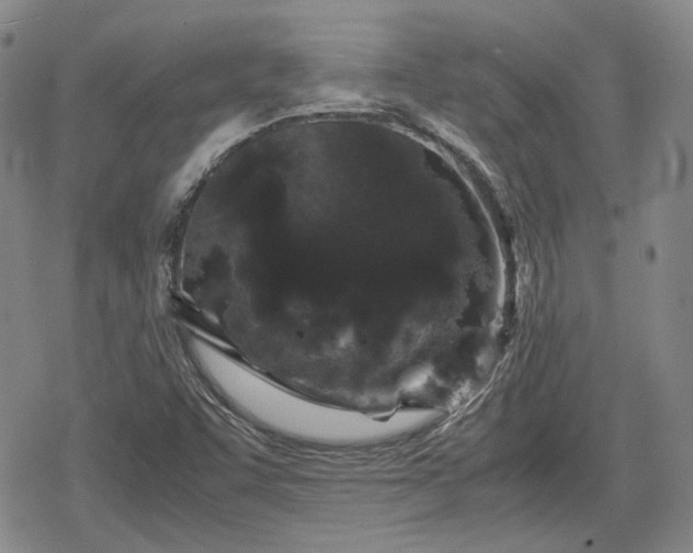 X0000080161455200612221214