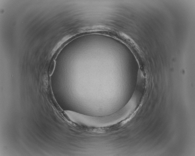 X0000080161457200612221214